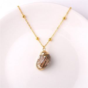 2019 Boho Conch Shells Necklace Sea Beach Pendant Necklace For Women