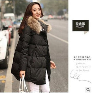 Winter Jacket Women Down  Hooded Long And Fashionable